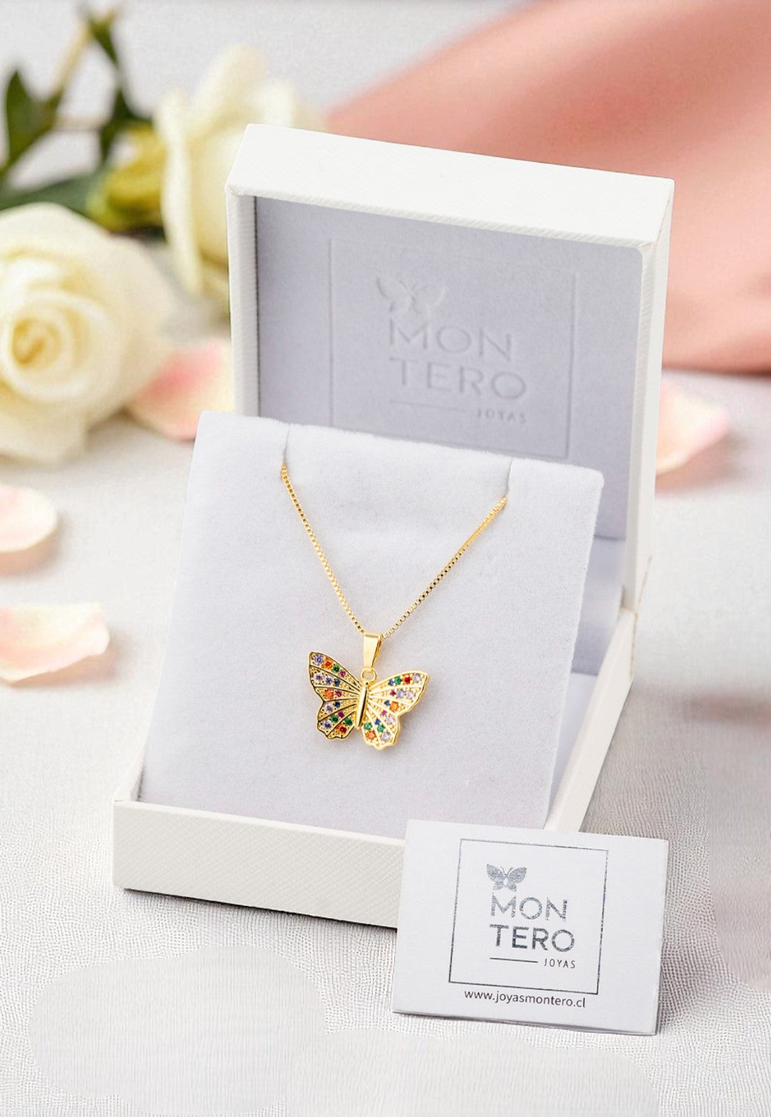 Collar Mariposa Microcircones Baño de Oro 24k