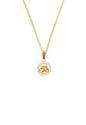Collar Patita Microcircones Baño de Oro 24k